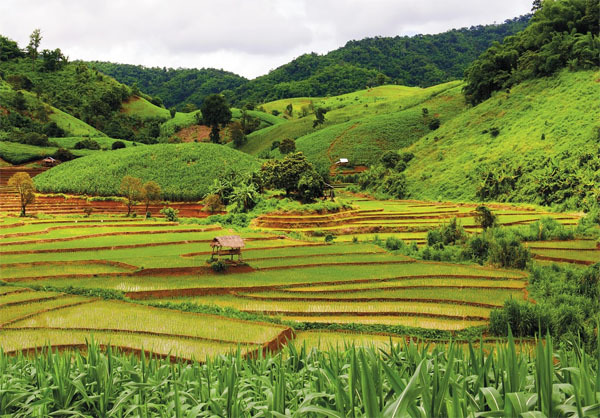 Chiang Rai: Coisas para fazer